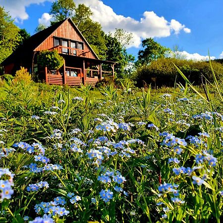 Piaskowy Kon - Mountain Lodge & Spa- Karkonosze Mniszkow  Esterno foto